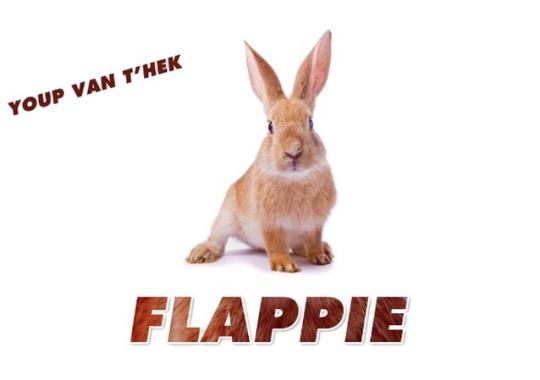 Gatentekst kerstlied Flappie